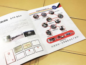 专业视觉呈现，赋能品牌价值 成都百铂文化一站式设计与软件开发服务